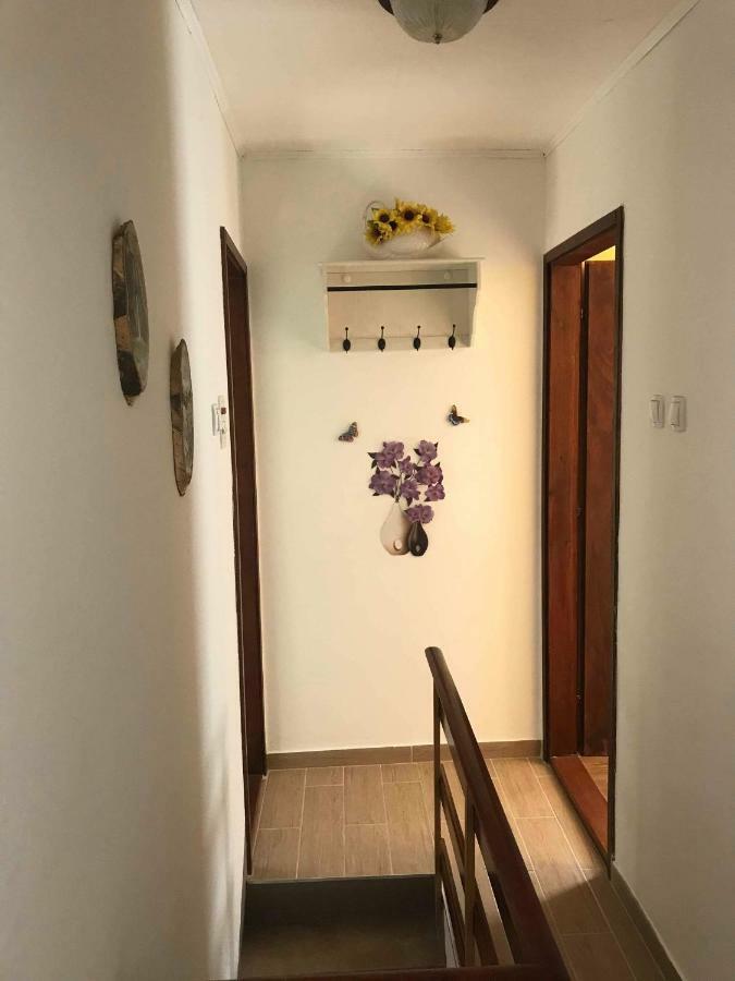 Apartma Evi Zaga Exterior photo